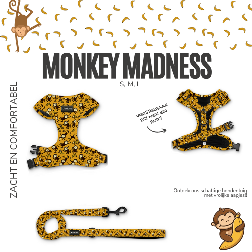 Monkey Madness