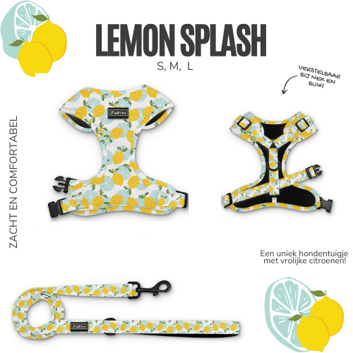 Lemon Splash
