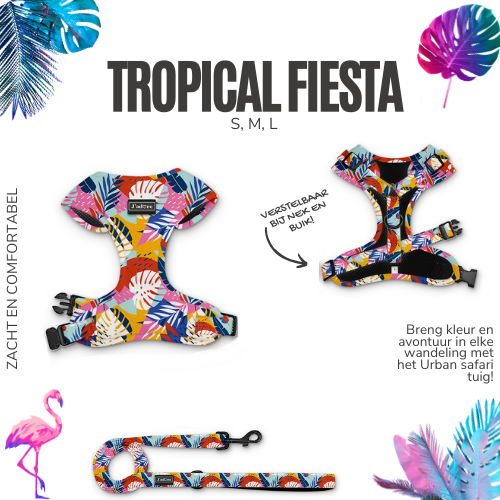 Tropical Fiesta