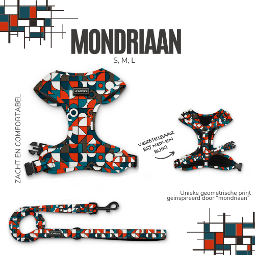 Mondriaan