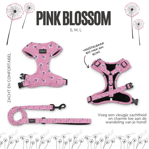 Pink Blossom