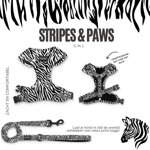 Stripes & Paws