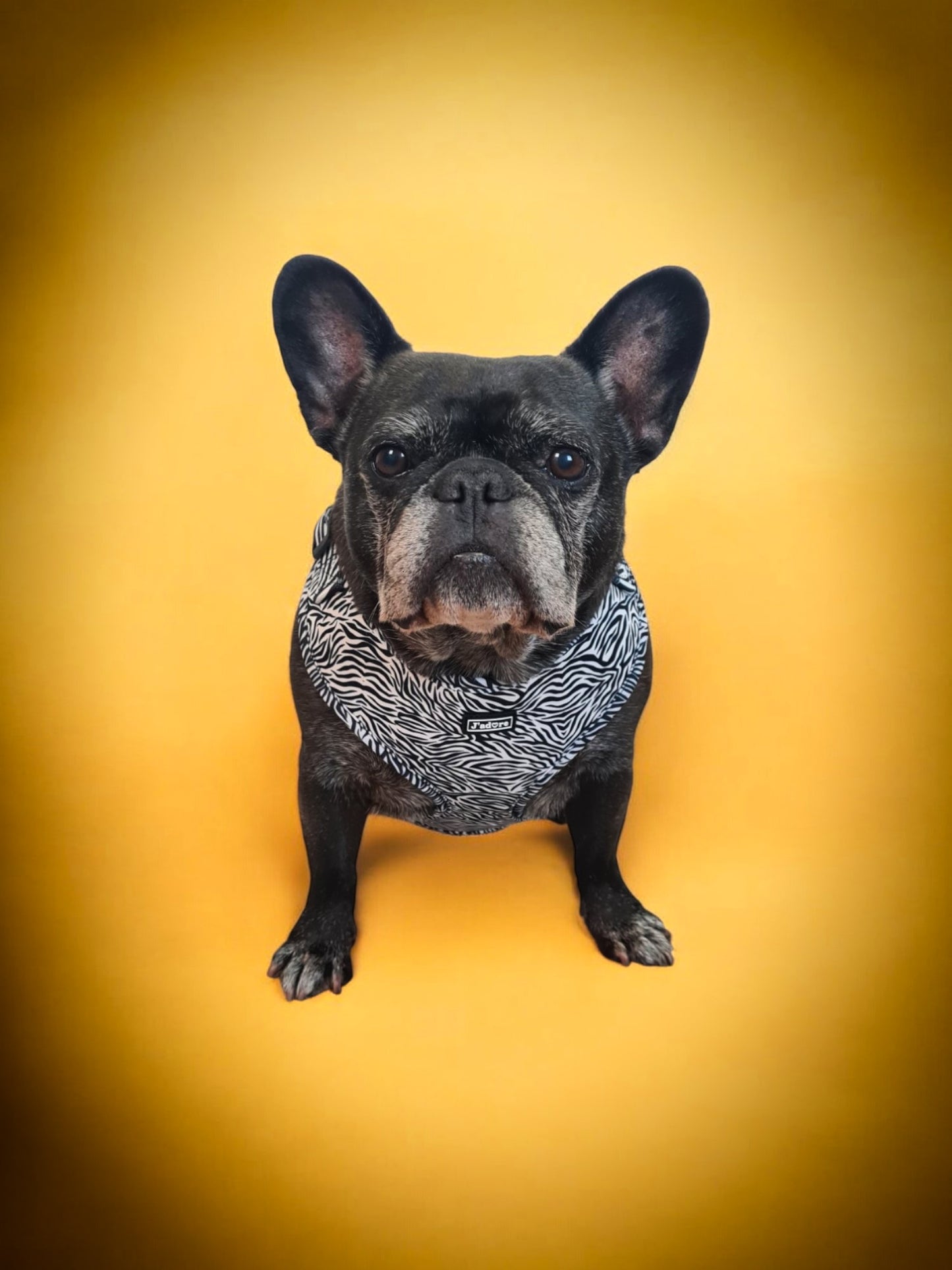 Stripes & Paws Hondentuigje