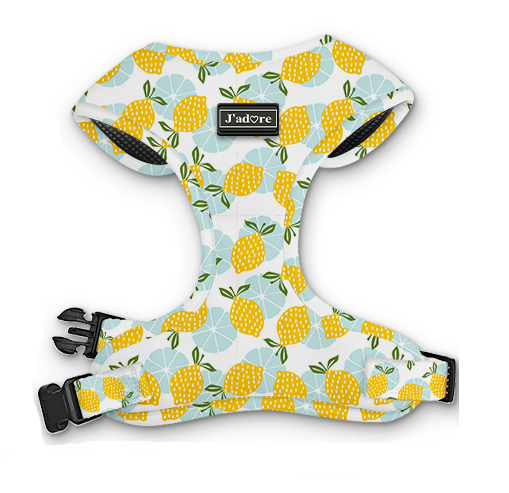 Lemon Splash Hondentuigje